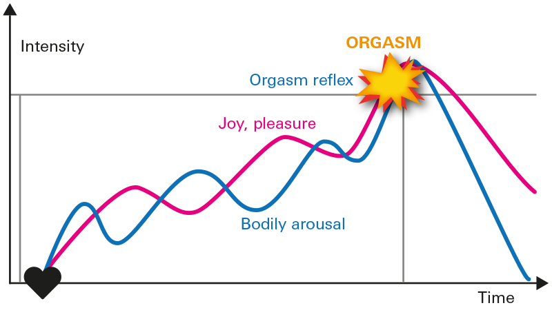orgasm curve